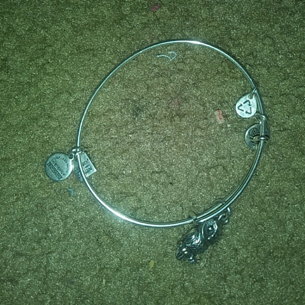 Owl alex and ani bracelet